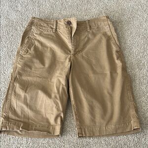 American Eagle Outfitters Tan Cargo Shorts Classic Style